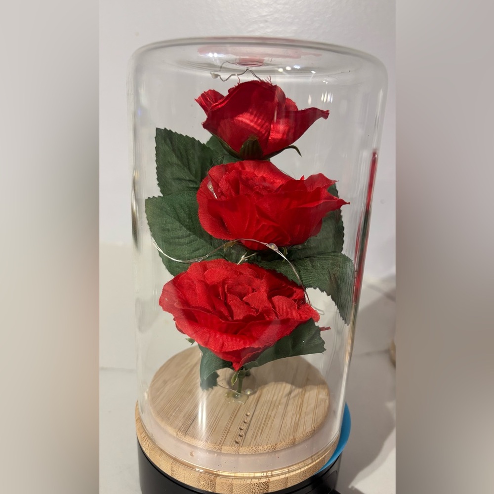 Red Rose Display in Glass Dome